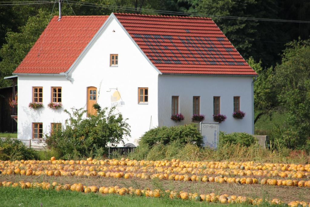 Апартаменты Buchgrabenhof Windisch Minihof Экстерьер фото